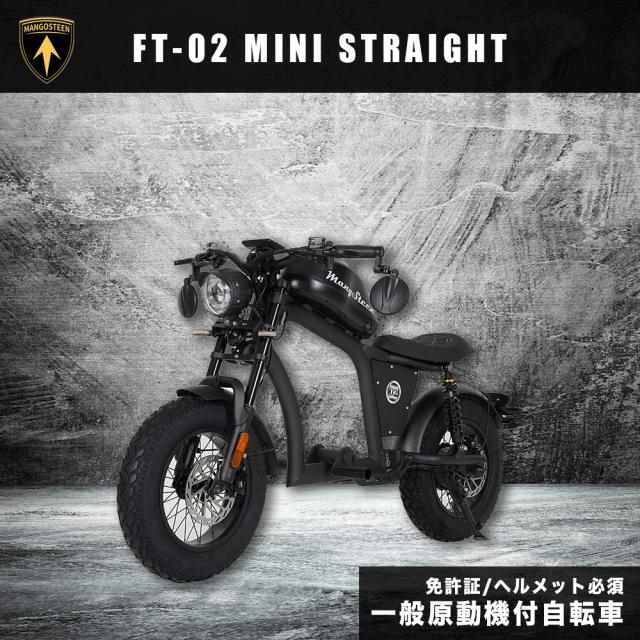 【※西濃運輸営業所止め・個人宅配送不可】MANGOSTEEN FT-02 MINI T字型 全7色 電動バイク 16インチ ディスクブレーキ 60V リチウム充電_1