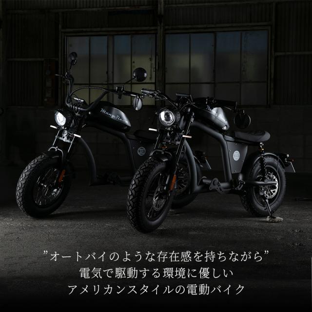 【※西濃運輸営業所止め・個人宅配送不可】MANGOSTEEN FT-02 MINI T字型 全7色 電動バイク 16インチ ディスクブレーキ 60V リチウム充電_2