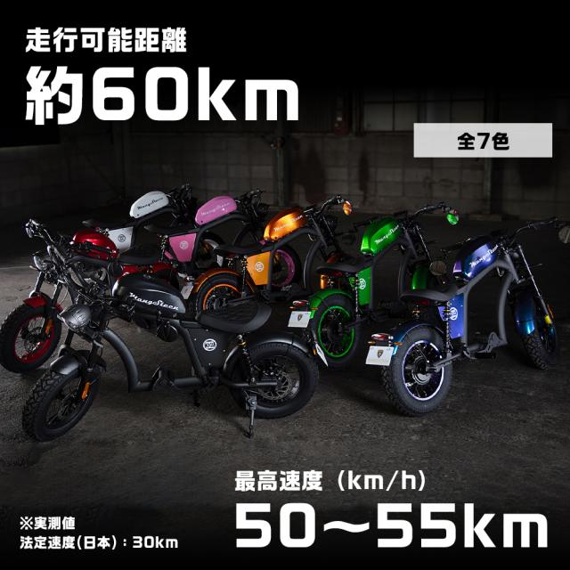 【※西濃運輸営業所止め・個人宅配送不可】MANGOSTEEN FT-02 MINI T字型 全7色 電動バイク 16インチ ディスクブレーキ 60V リチウム充電_3