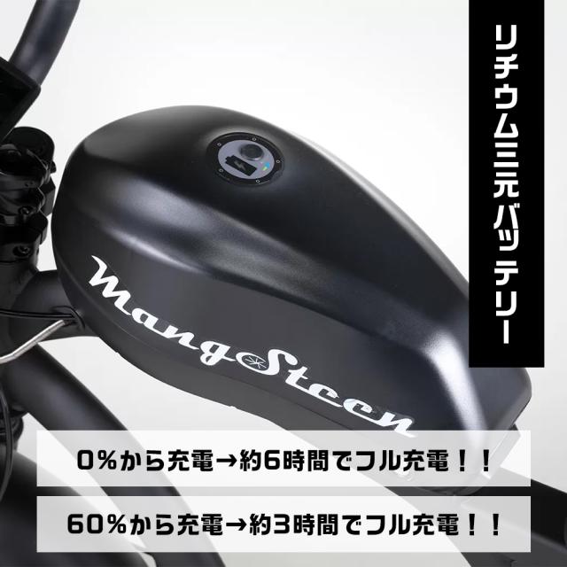 【※西濃運輸営業所止め・個人宅配送不可】MANGOSTEEN FT-02 MINI T字型 全7色 電動バイク 16インチ ディスクブレーキ 60V リチウム充電_4