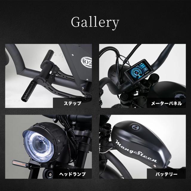 【※西濃運輸営業所止め・個人宅配送不可】MANGOSTEEN FT-02 MINI T字型 全7色 電動バイク 16インチ ディスクブレーキ 60V リチウム充電_5