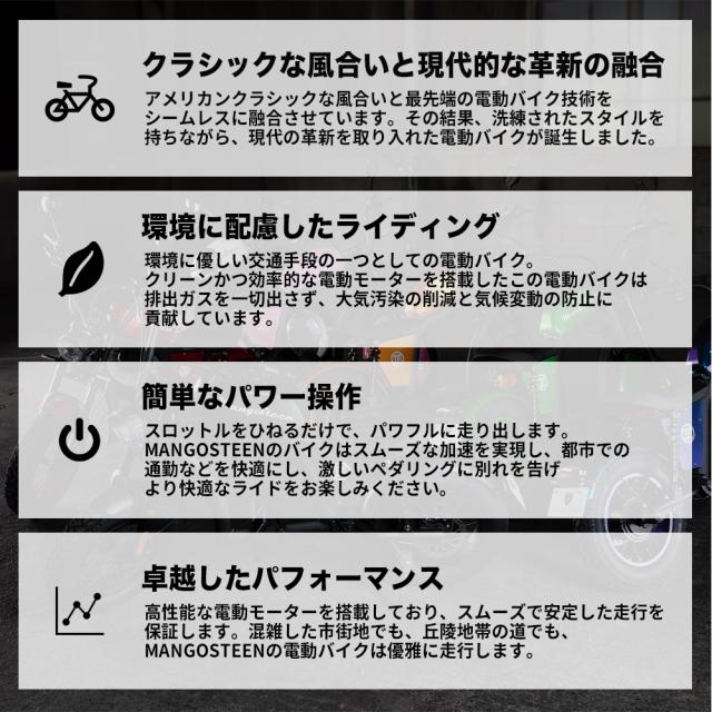 【※西濃運輸営業所止め・個人宅配送不可】MANGOSTEEN FT-02 MINI T字型 全7色 電動バイク 16インチ ディスクブレーキ 60V リチウム充電_6