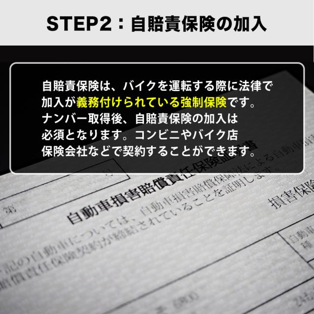 【※西濃運輸営業所止め・個人宅配送不可】MANGOSTEEN FT-02 MINI T字型 全7色 電動バイク 16インチ ディスクブレーキ 60V リチウム充電_10