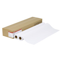 キヤノン キヤノン　ＩＪＰ用紙　プレミアム普通紙　８４１ｍｍ×５０ｍ　８０ｇ／ｍ２　２本 LFM-PPP/A0/80の通販は