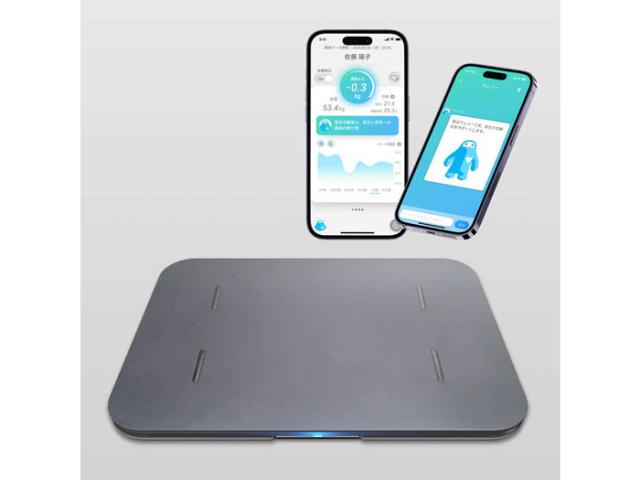 KOBA'STAIKAN BALANCE Fanctional Mat 袋付