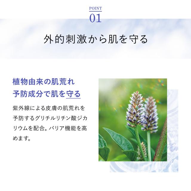 FANCL サンガード50＋dプロテクトUV　日焼け止め3本 化粧品】サンガード50+ プロテクトUV（SPF50+・PA++++