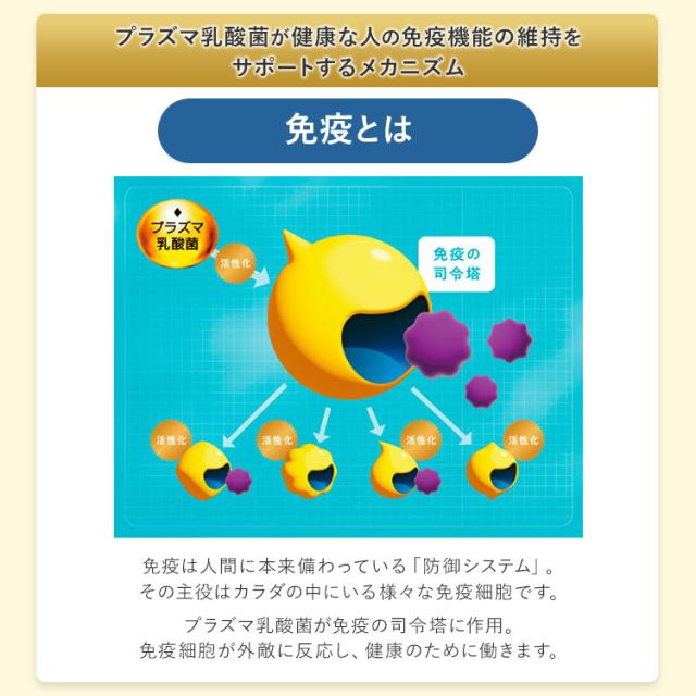 免疫サポート 粒タイプ ＜機能性表示食品＞ 180日分 【ファンケル 公式】 [FANCL サプリ サプリメント 免疫 プラズマ乳酸菌 乳酸菌 健康 栄養 女性 男性 健康食品 免疫サプリメント 免疫サプリ 免疫ケア ビタミンd ビタミンc ビタミンb2 健康サプリ 乳酸菌サプリメント ]_11