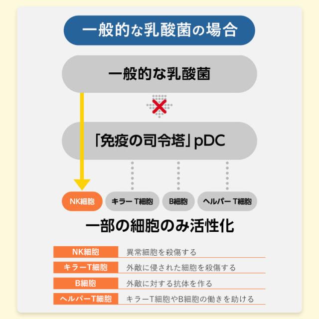 免疫サポート 粒タイプ ＜機能性表示食品＞ 180日分 【ファンケル 公式】 [FANCL サプリ サプリメント 免疫 プラズマ乳酸菌 乳酸菌 健康 栄養 女性 男性 健康食品 免疫サプリメント 免疫サプリ 免疫ケア ビタミンd ビタミンc ビタミンb2 健康サプリ 乳酸菌サプリメント ]_12