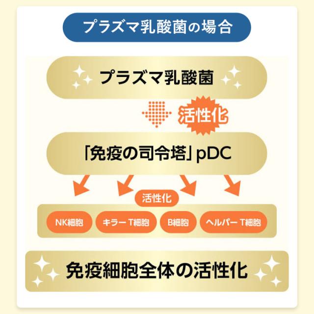 免疫サポート 粒タイプ ＜機能性表示食品＞ 180日分 【ファンケル 公式】 [FANCL サプリ サプリメント 免疫 プラズマ乳酸菌 乳酸菌 健康 栄養 女性 男性 健康食品 免疫サプリメント 免疫サプリ 免疫ケア ビタミンd ビタミンc ビタミンb2 健康サプリ 乳酸菌サプリメント ]_13