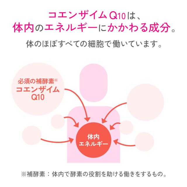 還元型コエンザイムQ10 90日分 【ファンケル 公式】[ FANCL サプリ サプリメント 健康 コエンザイム お徳用 まとめ買い 健康サプリ 男性 女性 食事で不足 コエンザイムq10 還元型 元気 エイジングケア さぷり ヘルスケア coq10 中高年 おすすめ 3ヶ月分 美容サプリ q10 ]_5