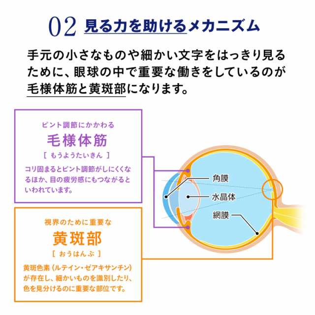 えんきん 30日分 ＜機能性表示食品＞【ファンケル 公式】 [FANCL サプリ サプリメント 目 アスタキサンチン ゼアキサンチン ルテイン  目｜au PAY マーケット