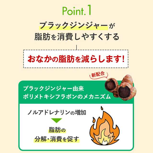 内脂サポート 90日分 ＜機能性表示食品＞[ FANCL サプリ ないし