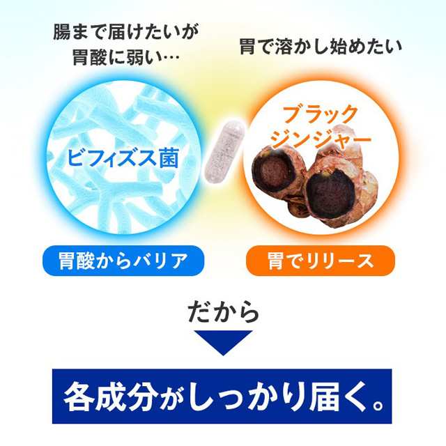 内脂サポート 90日分 ＜機能性表示食品＞【ファンケル 公式】[ FANCL ...