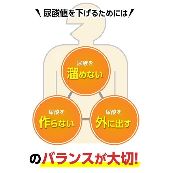 尿酸サポート＜機能性表示食品＞ 90日分【ファンケル 公式】[FANCL 尿酸値 アンペロプシン キトサン サプリメント サプリ 健康食品 尿酸 健康 セルロース 男性 女性 サポート まとめ買い セット ヘルスケア 甲殻類 プリン体 大容量 3ヶ月分 尿酸値サプリ 尿酸ケア習慣]_4