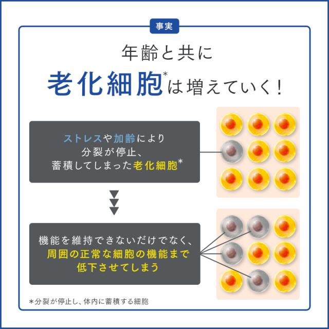 ウェルエイジ プレミアム ＜機能性表示食品＞ 90日分 【ファンケル 公式】[FANCL サプリ 年齢  サプリメント 女性 男性  エイジングケア 健康食品 キンミズヒキ アグリモール類 補給]_6
