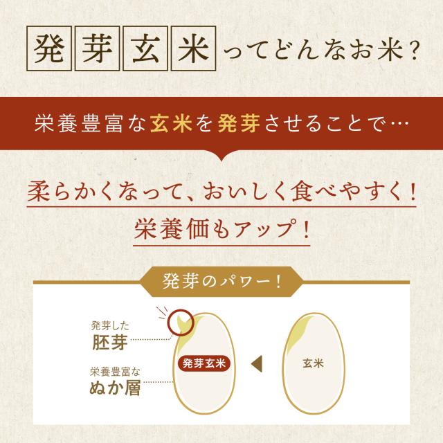 発芽米 8kg【ファンケル 公式】 [FANCL 発芽玄米 玄米 ビタミン カルシウム ギャバ ミネラル 米 gaba 健康食品 マグネシウム 健康 お米 食物繊維 こめ コメ カリウム 栄養 おこめ ギフト ビタミンb1 ビタミンe 美味しい 国産 混ぜる 贈り物 無洗米 玄米ご飯 北海道米]_8