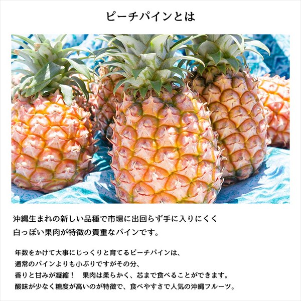 3個以上購入で送料無料 ドライフルーツ 砂糖不使用 無添加 Kuro ピーチパイン 沖縄県 石垣島 ドライパイン 美味しい g 国産 パイナップの通販はau Pay マーケット Triplestar