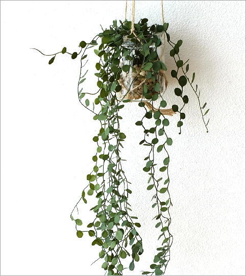 フェイクグリーン Ct触媒 消臭 壁掛け 天井 壁 吊り下げ グリーン 観葉植物 インテリア 玄関 Ct触媒付ハンギンググリーン3タイプの通販はau Pay マーケット ギギliving