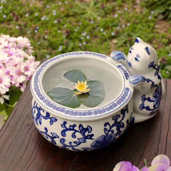 楽天市場】陶器鉢 水鉢 睡蓮鉢 メダカ鉢 金魚鉢 陶器 めだか鉢