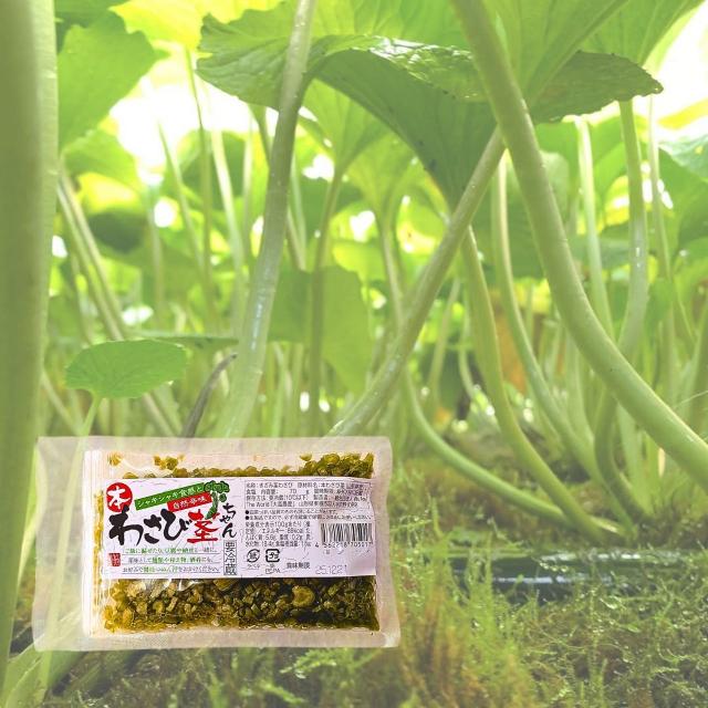 山形産 本わさび 茎ちゃん 10個入り 送料無料