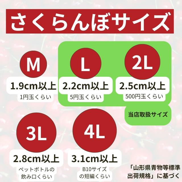 【予約開始！ 6月下旬発送 日付指定不可】 山形県産 さくらんぼ 紅秀峰 1kg  L-2L 秀-特秀 化粧箱 クール便_1