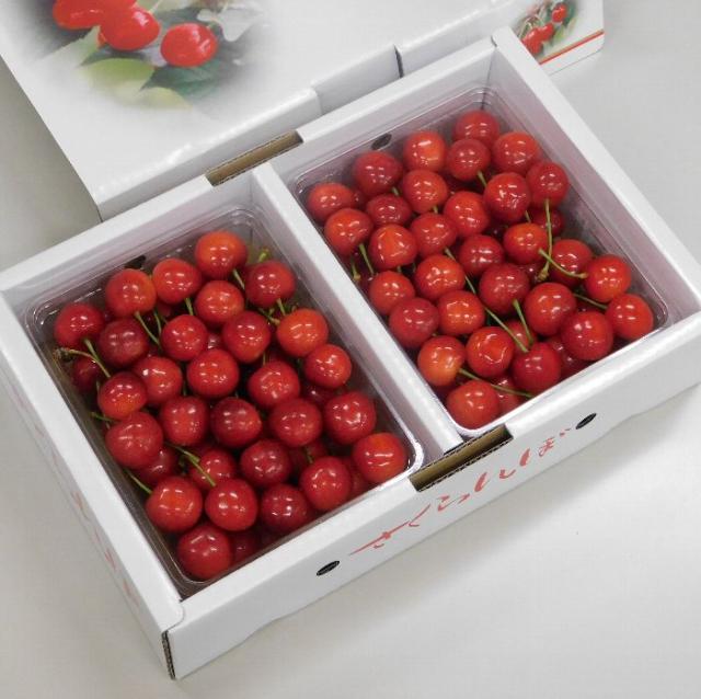 【予約開始！ 6月下旬発送 日付指定不可】 山形県産 さくらんぼ 紅秀峰 1kg  L-2L 秀-特秀 化粧箱 クール便_3