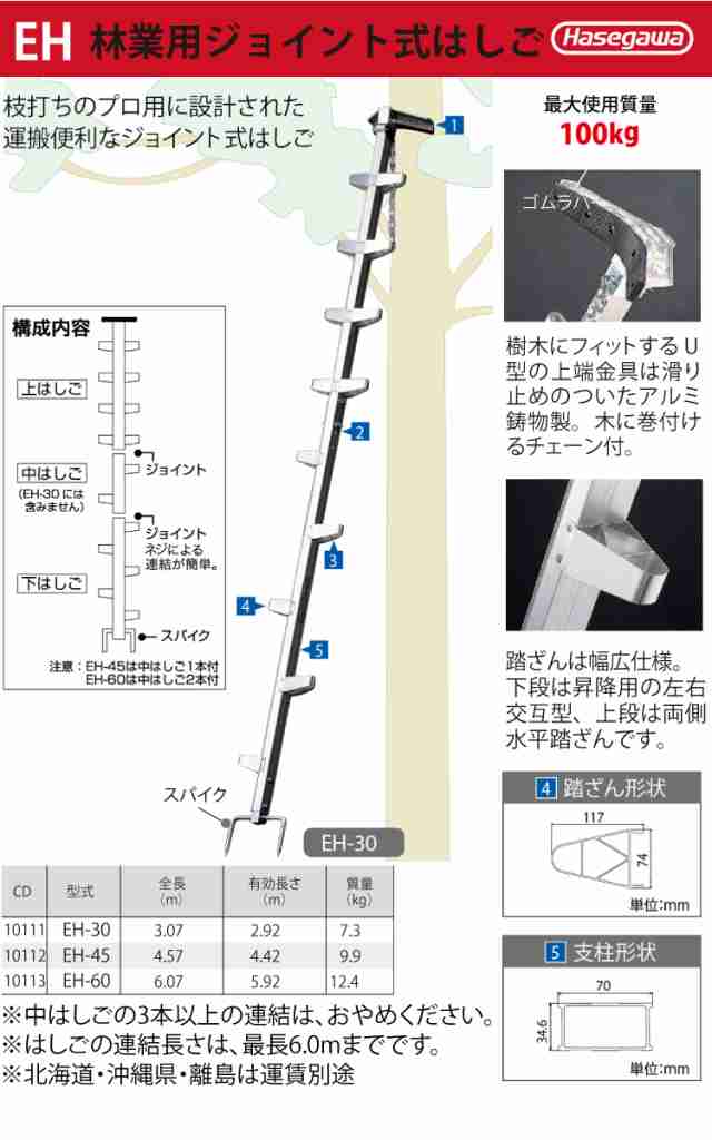 長谷川工業 (配送先法人限定) 枝打はしご EH-60 全長：6.07m 質量