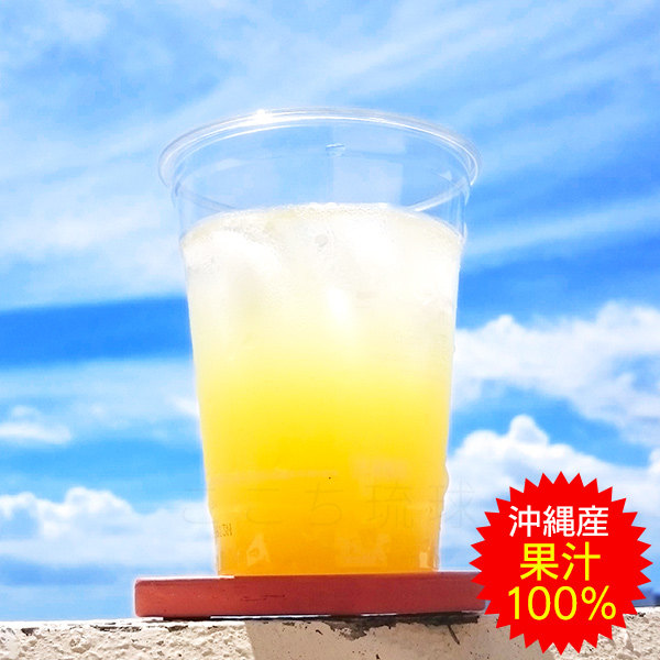 シークワーサー 果汁100％ 500ml×12本　/JAおきなわ 青切りシークヮーサー ジュース 原液 ノビレチン_1