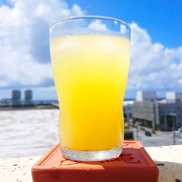 シークワーサー 果汁100％ 500ml×12本　/JAおきなわ 青切りシークヮーサー ジュース 原液 ノビレチン_2