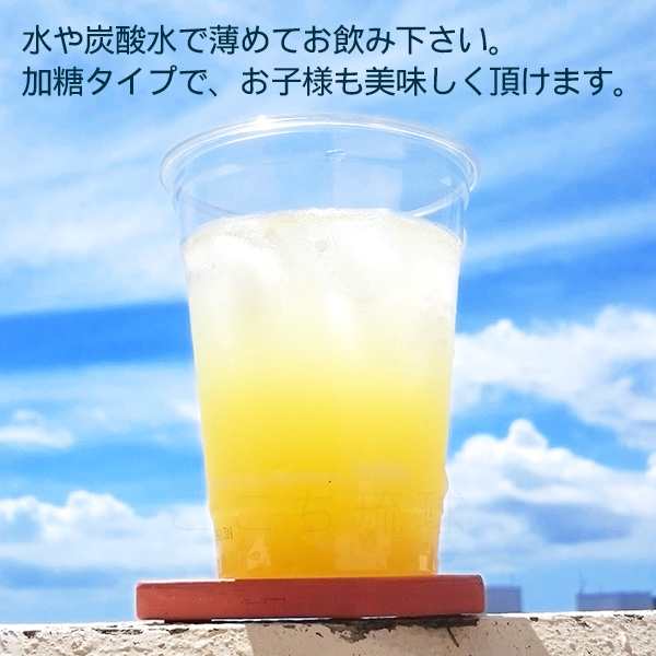 沖縄シークワーサー 500ml×2本（希釈・加糖タイプ） /オキハム