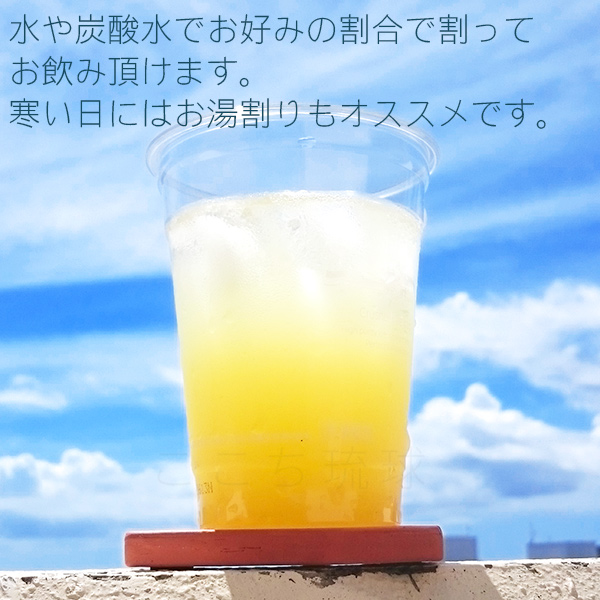沖縄シークワーサー100 果汁100％ 1000ml×6本　 /シークワーサージュース 原液 オキハム_2