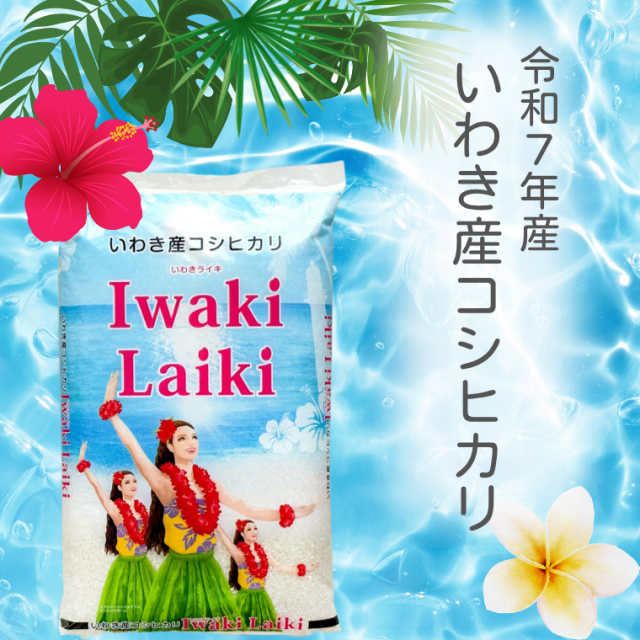 米 お米 こめ 令和7年産 Iwaki Laiki いわきライキ 10Kg(5kg×2)  送料無料 いわき産 コシヒカリ 【沖縄・離島は送料無料ライン対象外】
