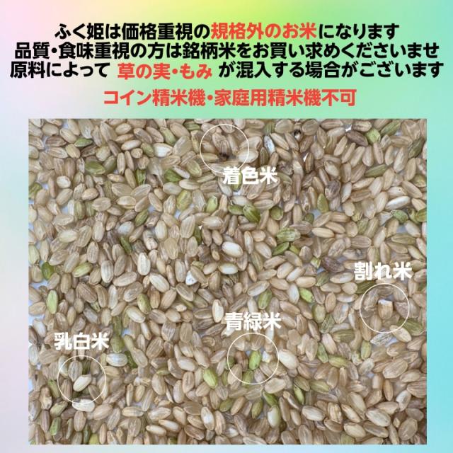 無洗米 玄米 米 お米 こめ 30kg 送料無料 訳あり ブレンド米 ふく姫 中粒 30kg 【別途送料 北海道＋ 九州＋ 沖縄・離島＋】_1
