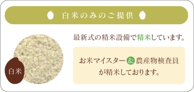 米 お米 こめ 送料無料 訳あり 小粒 ブレンド米 真心米 30kg【別途送料 北海道＋ 九州＋ 沖縄・離島＋】_7