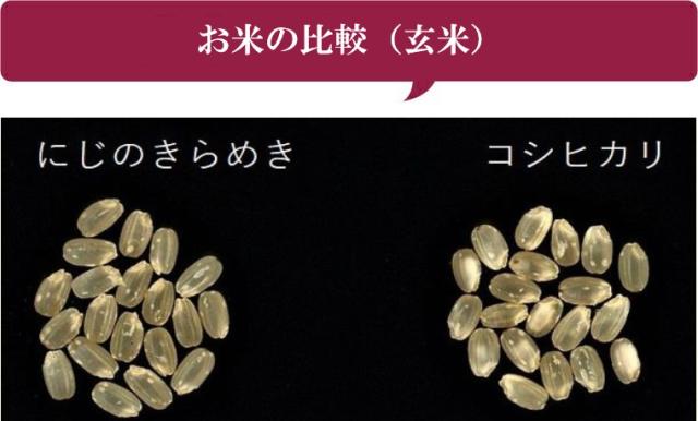 無洗米 玄米 米 お米 こめ 令和7年産 送料無料 福島県産にじのきらめき 20kg 【別途送料 北海道＋ 九州＋ 沖縄・離島＋】_3
