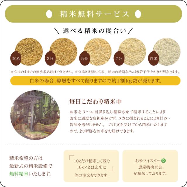 無洗米 玄米 米 お米 こめ 令和7年産 送料無料 福島県産コシヒカリ 20kg 【別途送料 北海道＋ 九州＋ 沖縄・離島＋】_6