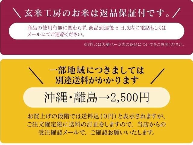 無洗米 玄米 米 お米 こめ 令和7年産 送料無料 福島会津産コシヒカリ 10kg (5kg×2) 【沖縄・離島は送料無料ライン対象外】_8