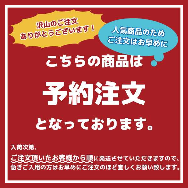 タイヤラック 幅固定 アジャスター付 日本燕三条製 8本 屋外 2段式