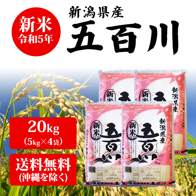 【令和5年産】 新潟県産 五百川 20kg （5kg×4袋）【送料無料 ※沖縄へは送料2,200円】 米 20キロ 送料無料 お米 新米 20kg  安い 産地直｜au PAY マーケット