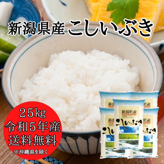 【令和5年産】新潟県産 こしいぶき 25kg （5キロ×5袋） 【送料無料 ※沖縄送料+2,200円】 米25キロ 送料無料 精米 令和5年 25kg  お米 25｜au PAY マーケット