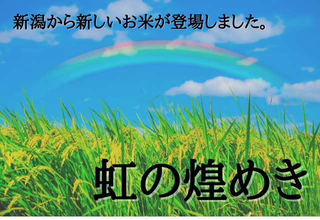 令和6年産】新潟県産 虹の煌めき 10kg 【送料無料※沖縄別送料+ 令和6年産】新潟県産 虹の煌めき 10kg 【送料無料※沖縄別送料+