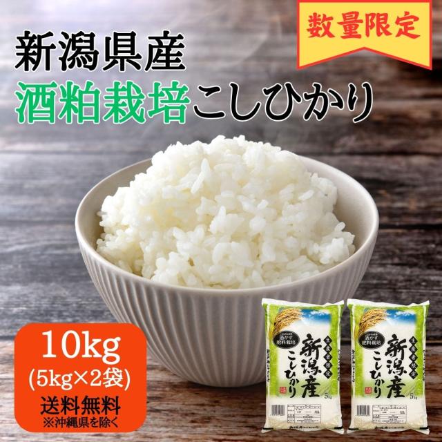令和6年産 新米 お米 10kg 白米 魚沼産コシヒカリ 10kg×1袋