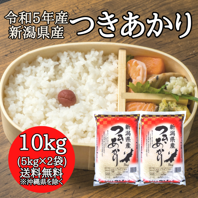 新米 令和5年産 10kg 高知県産 コシヒカリ (5kg×2袋) 米 送料無料 令和5年