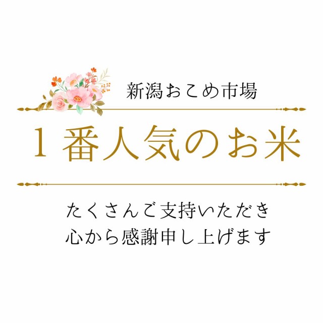 【令和6年産】新潟県産 コシヒカリ 10kg セット （5キロ×2袋） 【送料無料 ※沖縄別送+2,200円】 米 10キロ 送料無料 精米 令和6年  10kg お米 10kg 安い