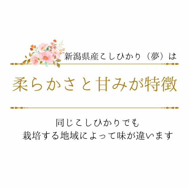 令和6年産】新潟県産 コシヒカリ 5kg (5キロ×1袋)【送料無料 令和6年産】新潟県産 コシヒカリ 5kg (5キロ×1袋)【送料無料