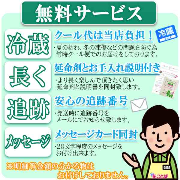 翌日・翌々日配達13時まで [レインボー カーネーション 3本 アレンジメント] そのまま飾れる 誕生日 プレゼント 花 生花 ギフト 女性 母  の通販はau PAY マーケット - 花ことば au PAY マーケット店