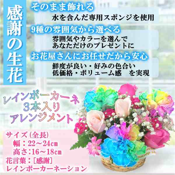 翌日・翌々日配達13時まで [レインボー カーネーション 3本 アレンジメント] そのまま飾れる 誕生日 プレゼント 花 生花 ギフト 女性 母  の通販はau PAY マーケット - 花ことば au PAY マーケット店