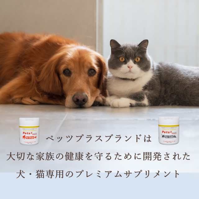 あたま の健康維持をサポート 猫用 サプリメント ペッツプラス プレミアムバイタル 猫専用 プロポリス ローヤルゼリー イチョウ葉エキス ねこ サプリ  認知の通販はau PAY マーケット - ペッツプレミア | au PAY マーケット－通販サイト