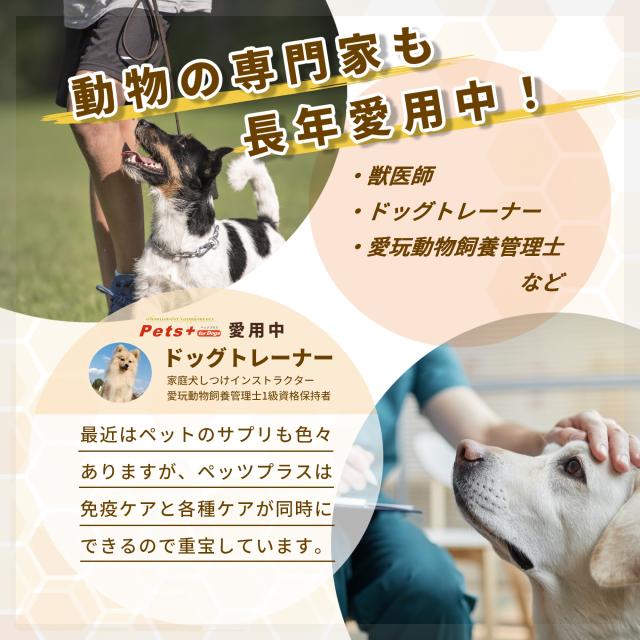 犬専用サプリメント ペッツプラス プレミアムアイX5 目の健康維持を