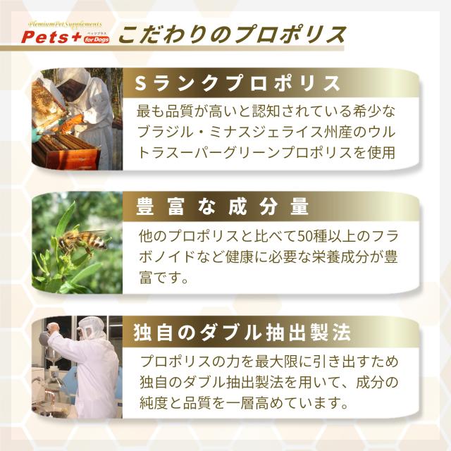 視界 が気になる愛犬へ 犬用 サプリメント ペッツプラス プレミアム